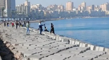 طقس الإسكندرية.. انخفاض كبير في درجات الحرارة يسيطر على الأجواء ليلاً